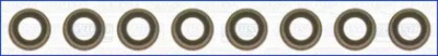 WILMINK GROUP wg1169861 -  